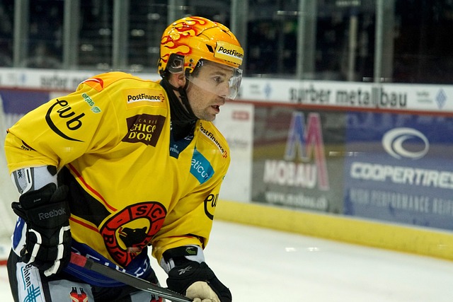Forventninger vs. Virkelighed: Herning blue fox’ stilling gennem tiderne